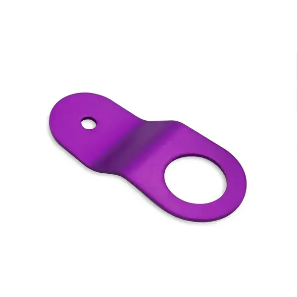 Geprüft BLOX Racing Wasserkühler Montage Bügel - Violett - BXAC-00300-PR