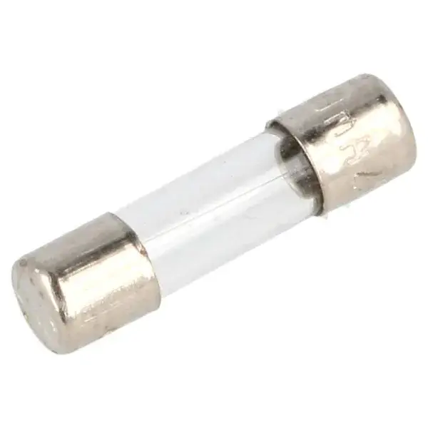 Sonderaktion QSP Glassicherung 5 x 20 mm 0.2A - Silber - QF1037