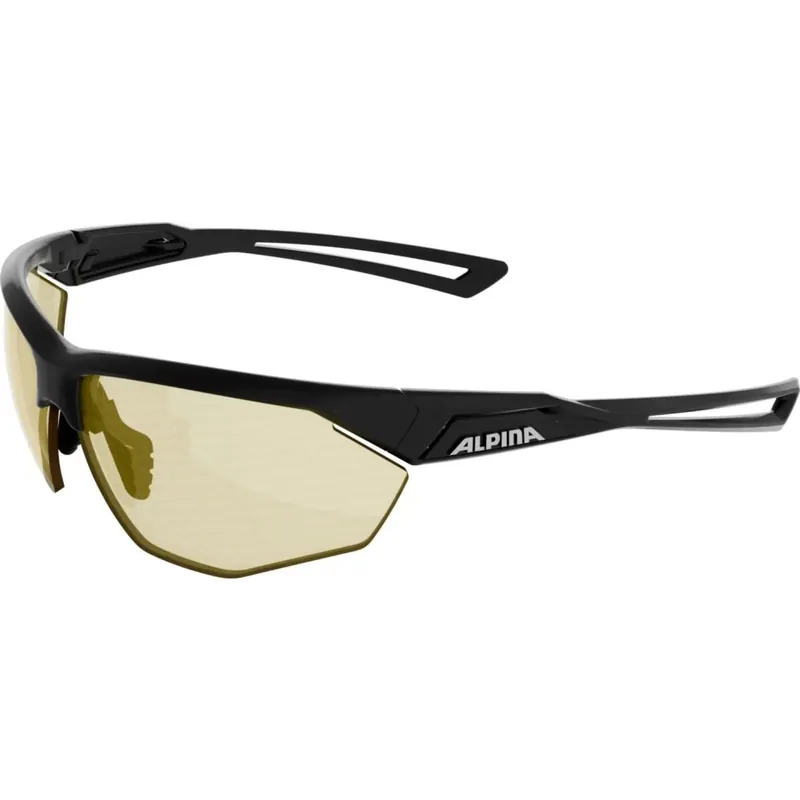 Aktuell Alpina Nylos HR Brille - black matt/yellow