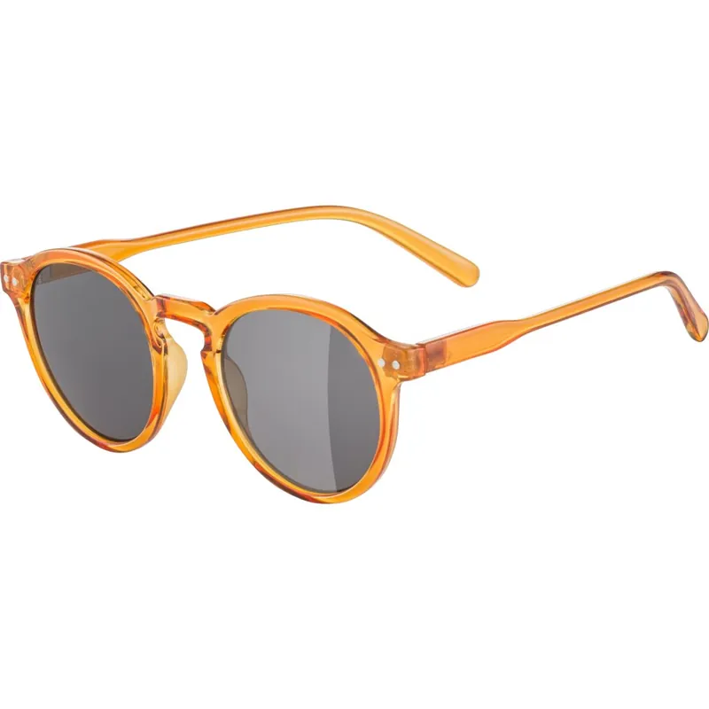 Alpina Sneek Brille - burrow-transparent gloss/blue Echt