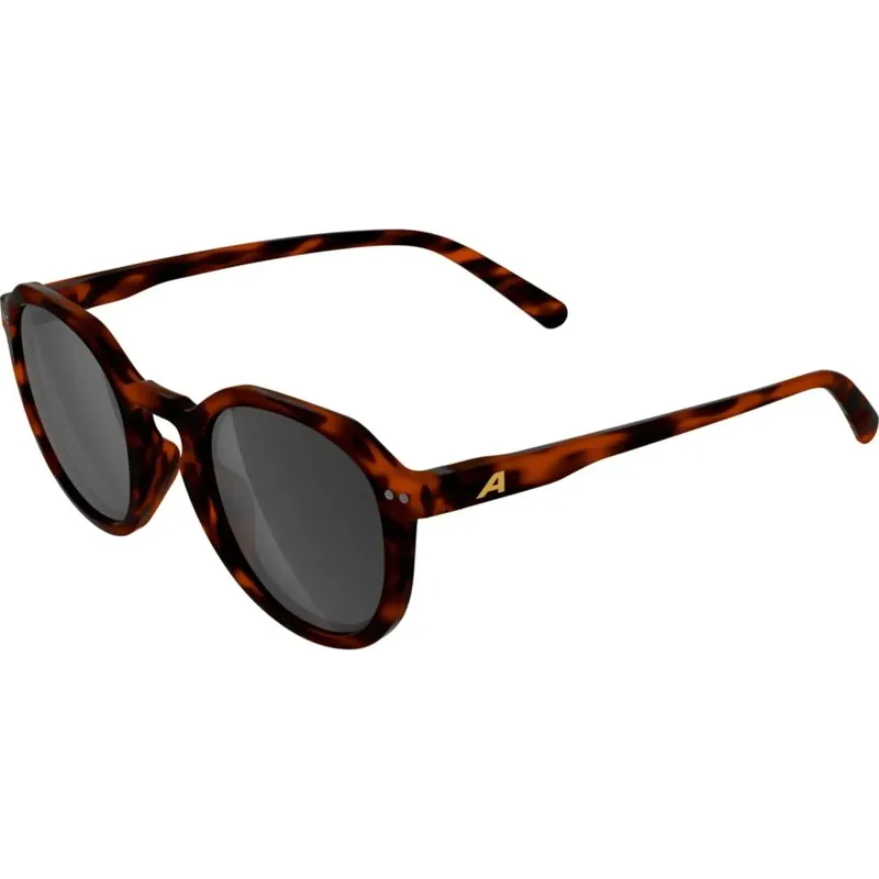 Top-Preis Alpina Sneek 2.0 Brille - havana matt/black
