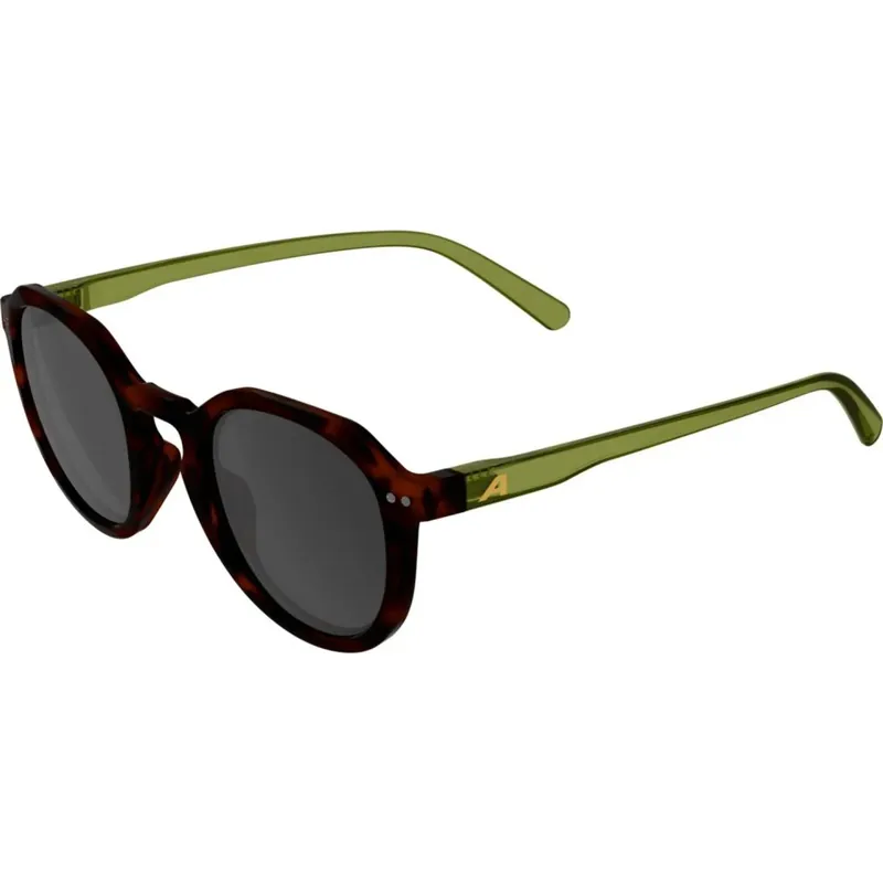 Geprüft Alpina Sneek 2.0 Brille - havana-green gloss/black