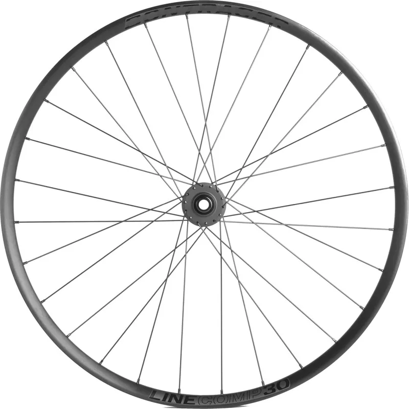 Wochenendangebot Bontrager Line Comp 30 TLR Vorderrad - 29" 6-Loch 15x110mm Boost - schwarz/dunkelgrau