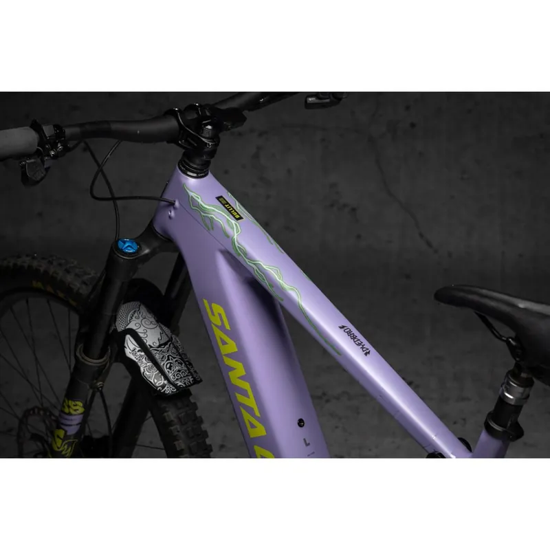 Jetzt Bestellen DYEDBRO Rahmenschutz Kit Lightning E-BIKE - grün matt
