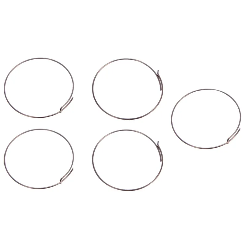 Fulcrum Sperrklinkenfeder für Rennrad Freiläufe (5 Stck.) - 5-R1-015 Top-Preis