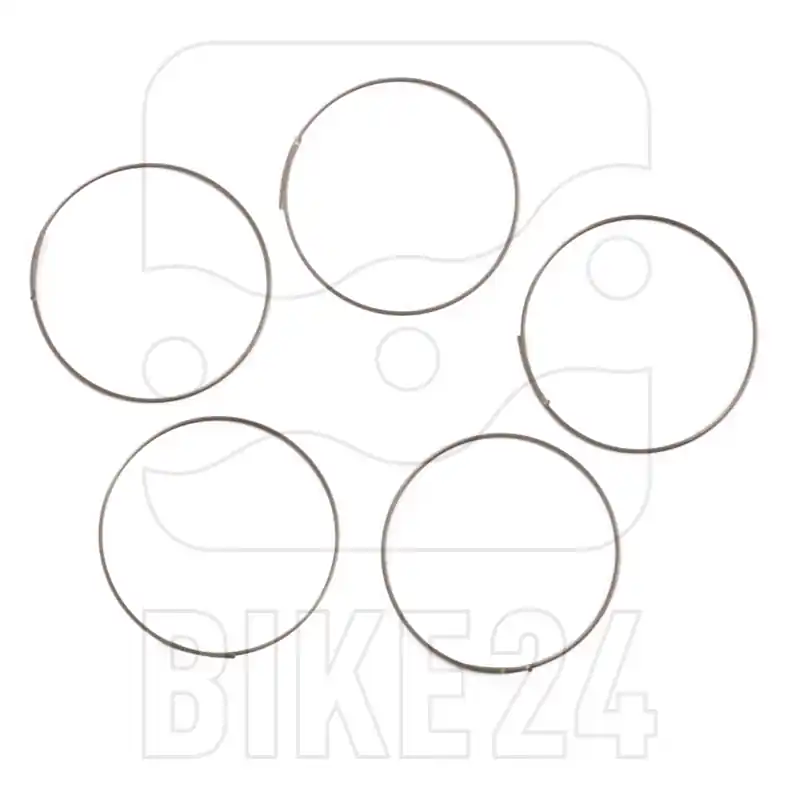Rabatt Fulcrum Sperrklinkenfeder für MTB Freiläufe (5 Stck.) - 5-RM0-005