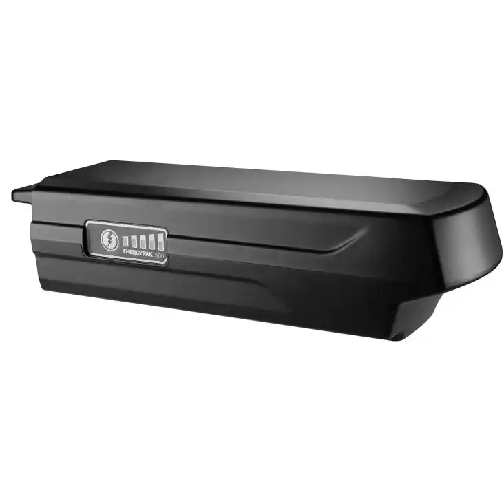 Giant EnergyPak Carrier 500 WH Akku - 5 Pin - 700000007 Sonderaktion