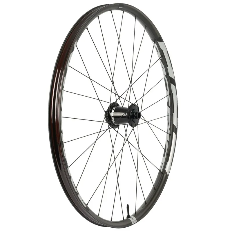 Sonderangebot Race Face Era eMTB - Vorderrad - 29" Carbon Clincher 6-Loch 15x110mm - schwarz