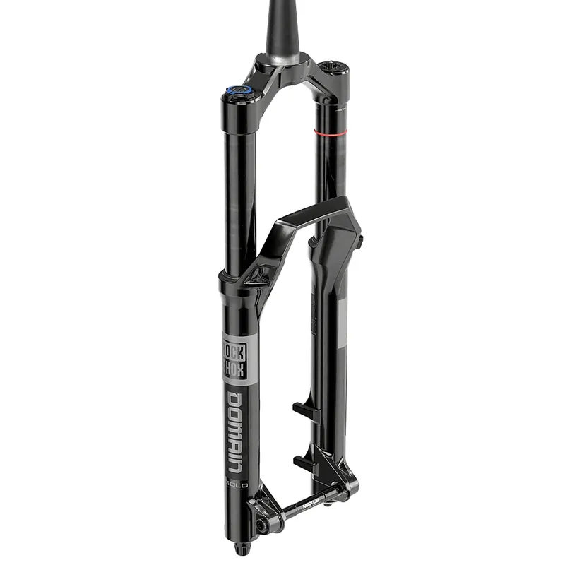Begrenztes Angebot RockShox Domain Gold Federgabel - 29" Isolator RC 44mm Offset 15x110mm Boost - 180mm - schwarz