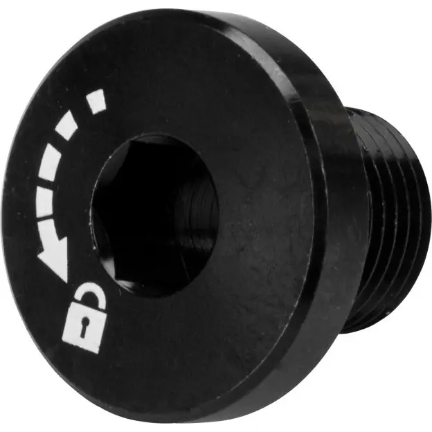 RST Abschlusschraube für 20 mm Steckachsen FA003856299 Finale Aktion