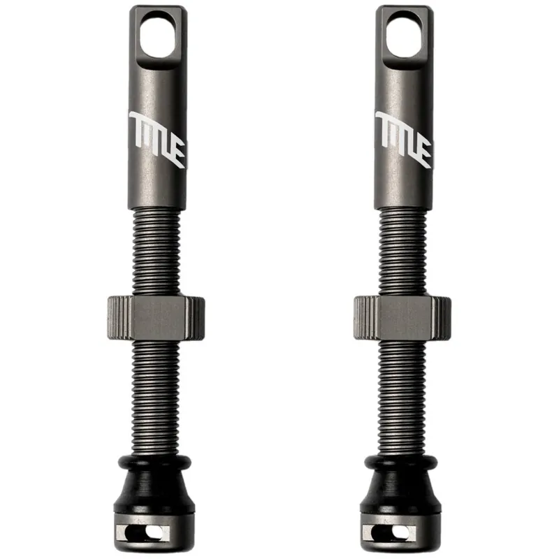 Bestpreis Title Tubeless Ventil Kit - grau