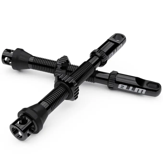 Neu Im Sortiment WTB Max Flow Tubeless Ventile - 44mm - Presta