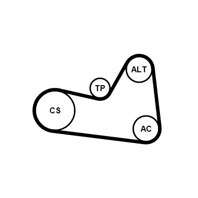 CONTINENTAL CTAM 6PK1026K1 - Keilrippenriemensatz Preisknaller
