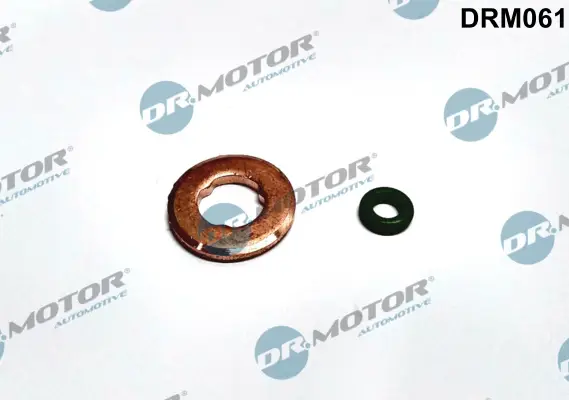 Sichere Zahlung Dr.Motor Automotive DRM061 - Dichtungssatz, Einspritzdüse