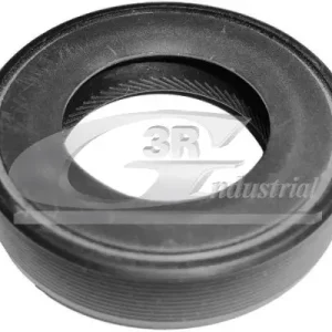 Sofort Bestellen 3RG 80209 - Wellendichtring, Differential