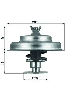 MAHLE TX 75 80D - Thermostat, Kühlmittel Schneller Versand
