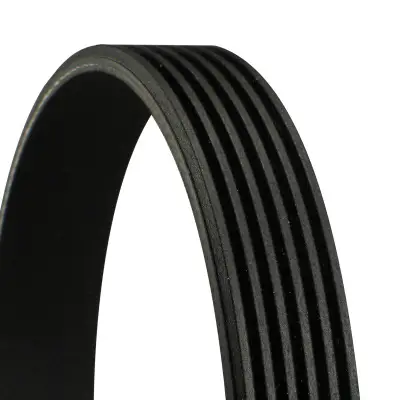 CONTINENTAL CTAM 6PK1538 - Keilrippenriemen Neu