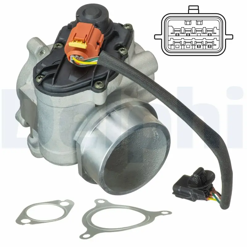 DELPHI EG10461-12B1 - AGR-Ventil Expressversand