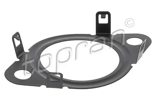 TOPRAN 601 396 - Dichtung, AGR-Ventil Mega-Angebot