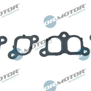 Dr.Motor Automotive DRM01291 - Dichtungssatz, Ansaugkrümmer Markenprodukt