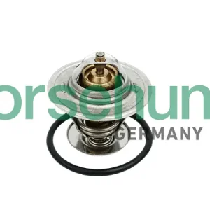 Schneller Versand Borsehung B18259 - Thermostat, Kühlmittel