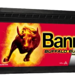 Banner 645 03 Buffalo Bull SHD Professional LKW-Batterie 12V 145Ah 800A Meistverkauft