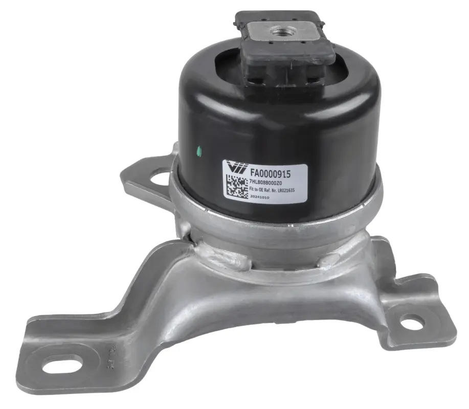 Super-Preis LEMFÖRDER 45543 01 - Lagerung, Motor
