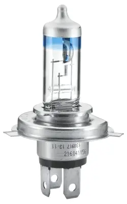 HELLA 8GJ 002 525-531 - Glühlampe, Hauptscheinwerfer Markenprodukt
