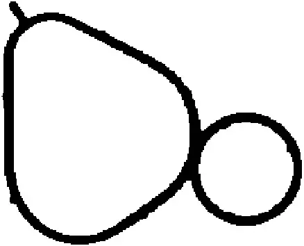 CORTECO 450263P - Dichtung, Ansaugkrümmer Knallerangebot