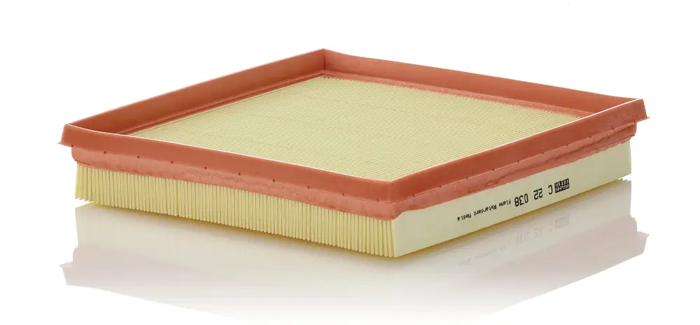 MANN-FILTER C 22 038 - Luftfilter Top-Angebot