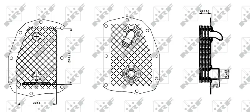 Neuheit NRF 31352 - Ölkühler, Motoröl