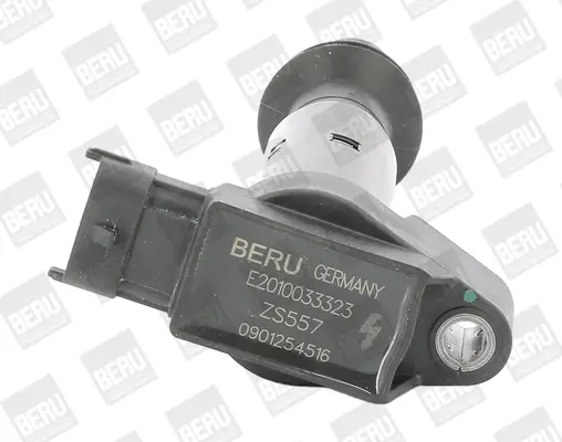 Direktkauf BorgWarner (BERU) ZS557 - Zündspule