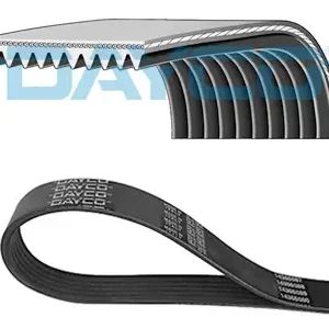 DAYCO 10PK1408HD - Keilrippenriemen Expressversand