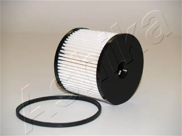 ASHIKA 30-ECO019 - Kraftstofffilter Schnäppchen