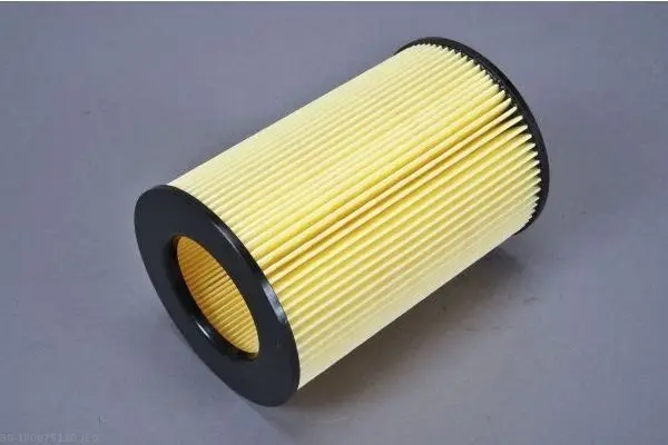 Preisknaller AUTOMEGA 180075110 - Luftfilter