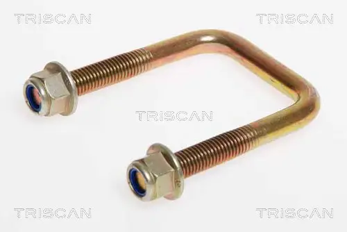 TRISCAN 8765 160004 - Federbride Preisreduziert