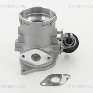 TRISCAN 8813 29056 - AGR-Ventil Saisonangebot