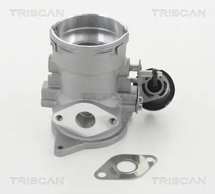 TRISCAN 8813 29056 - AGR-Ventil Saisonangebot