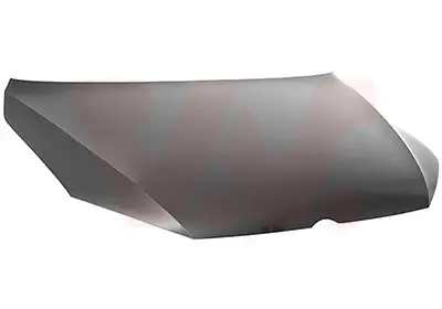 VAN WEZEL 5769660 - Motorhaube Garantierte Lieferung