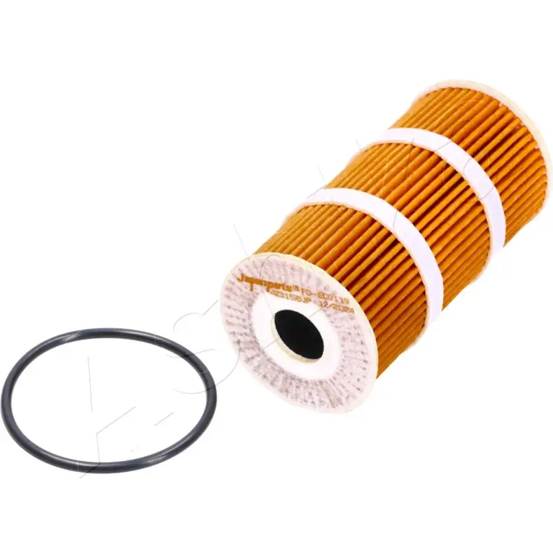 ASHIKA 10-ECO119 - Ölfilter Rabatt
