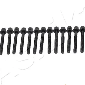ASHIKA 115-01-102 - Zylinderkopfschraubensatz Top-Preis