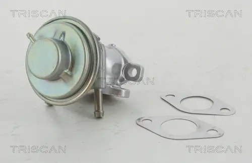 TRISCAN 8813 15029 - AGR-Ventil Super-Preis