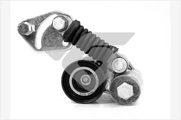 HUTCHINSON T5014 - Spannrolle, Keilrippenriemen Sofort Bestellen