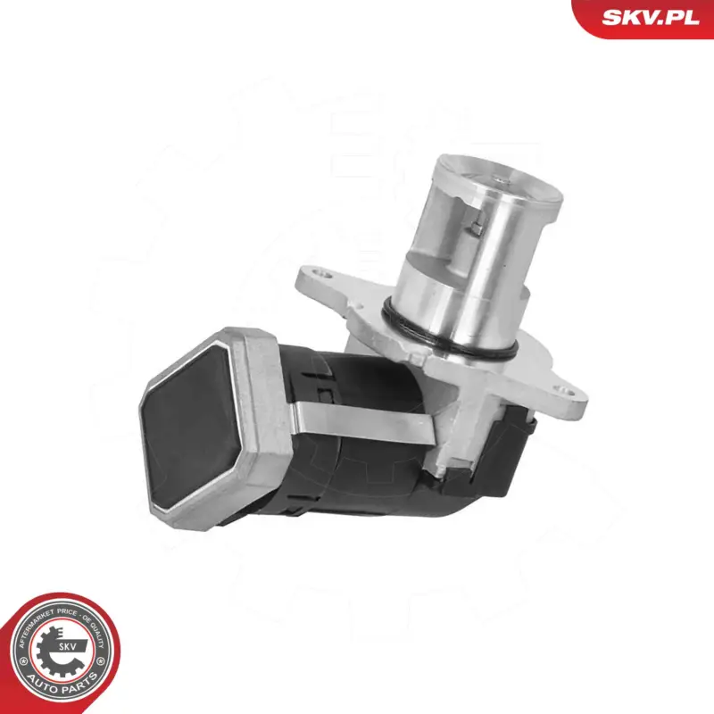 ESEN SKV 14SKV306 - AGR-Ventil Expressversand