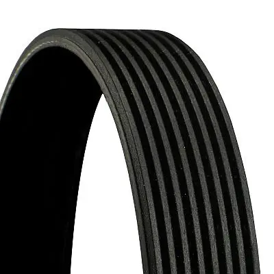 Zertifiziert CONTINENTAL CTAM 8PK2546 - Keilrippenriemen