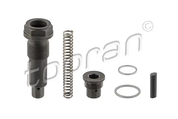 TOPRAN 408 971 - Spanner, Steuerkette Meistverkauft