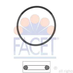 Sonderangebot FACET 7.9550 - Dichtung, Thermostat