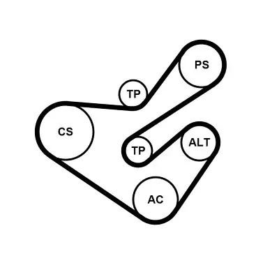 Preisreduziert CONTINENTAL CTAM 6PK1733K5 - Keilrippenriemensatz