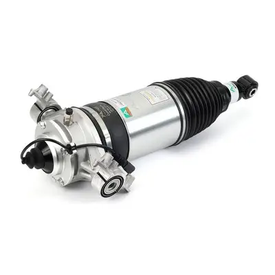 Neue Ware Arnott AS-3166 - Luftfederbein - Original Arnott Product