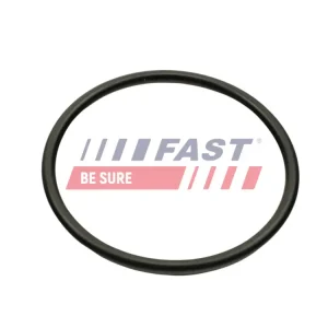 FAST FT49460 - Dichtung, Ansaugkrümmer Preisknaller